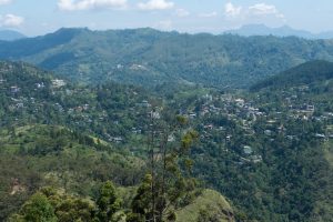 View over Ella's green valley and wooded hills from the top of Ella Rock