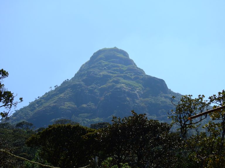 The rocky, forested summit cone of Adam's Peak seen from among trees below it, with a handrail rope in the foreground