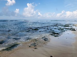 Morning on the shore at Ahangama, with wet sand, dark reef rocks in shallow water and waves breaking further out