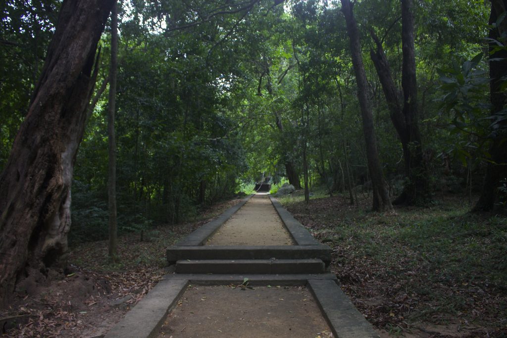 A straight stone-edged meditation walkway with low steps running through shady forest at Arankele