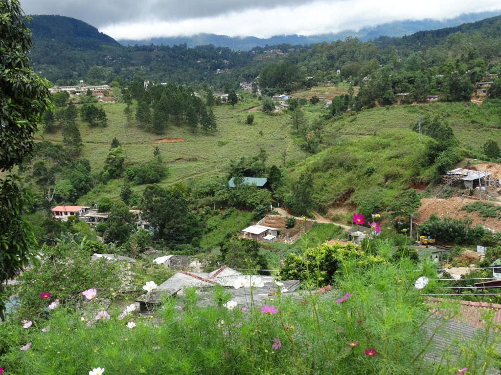 Houses and gardens spread over green hillsides at Bandarawela, with pine trees, open grassland and cloud over the hills behind