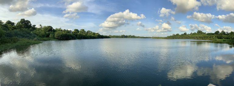 Panoramic view over Diyawanna Lake and the marshland of Beddagana Wetland Park from the viewing deck