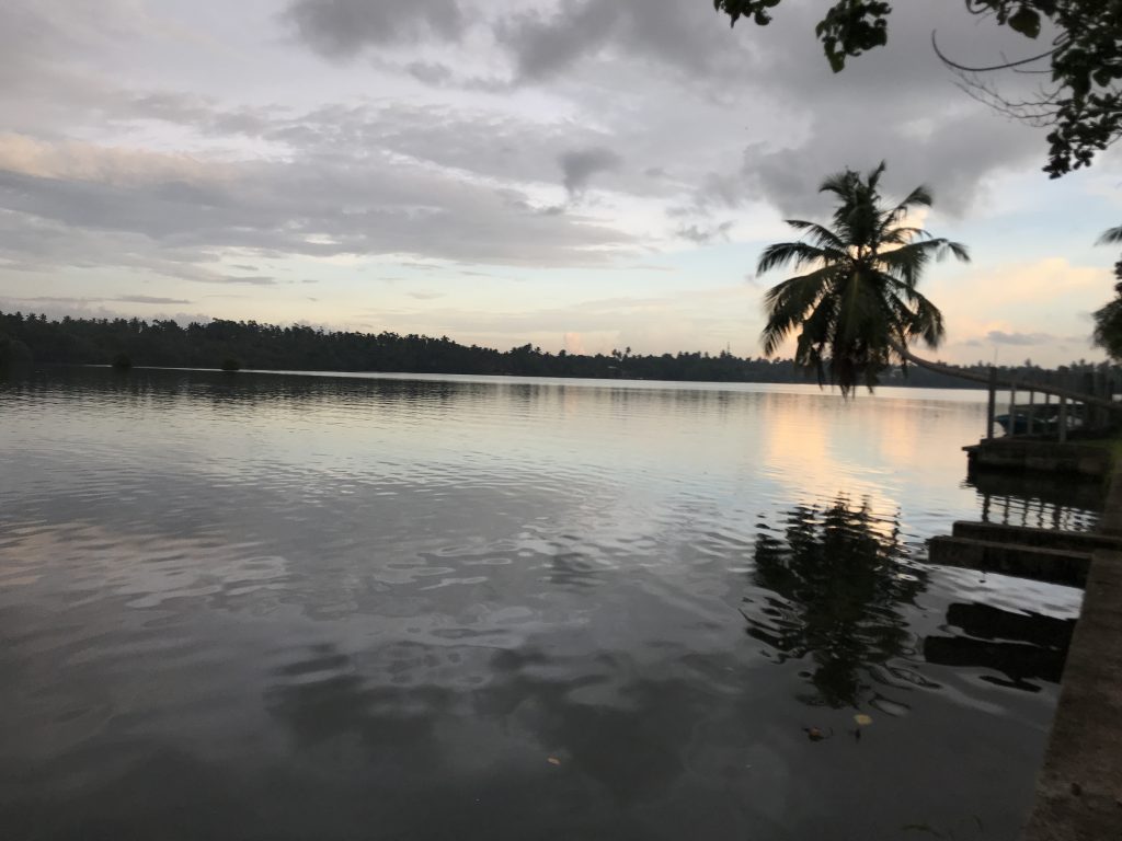 The wide, calm Bentota River at dusk, with a palm leaning over a small jetty and forest on the far bank