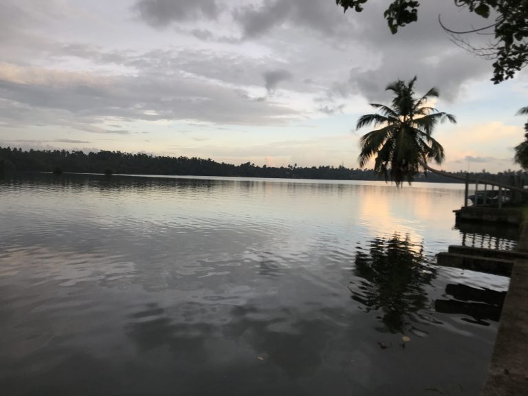The wide, calm Bentota River at dusk, with a palm leaning over a small jetty and forest on the far bank