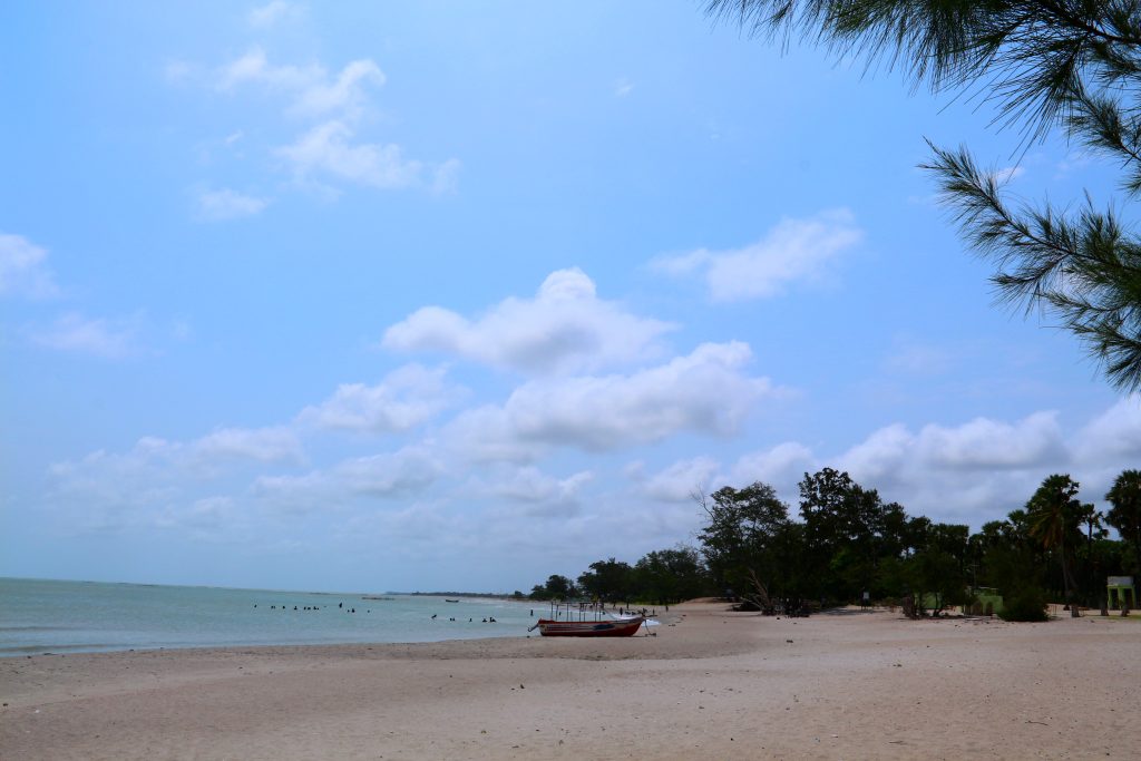 A wide sandy beach with a fishing boat on the sand, people wading far out in calm shallow water and a casuarina branch in the foreground