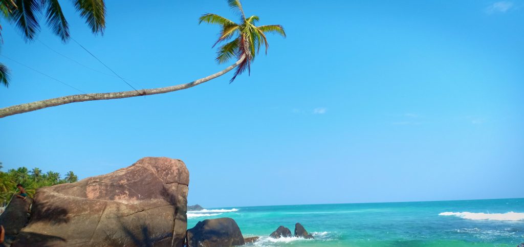 A coconut palm leaning far out over a large boulder at Dalawella, with turquoise sea and waves breaking beyond