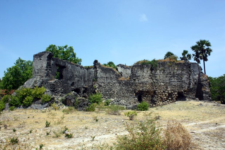 The grey coral-stone ruins of the old fort on Delft Island, with roofless walls, palmyra palms and dry scrub under a clear blue sky