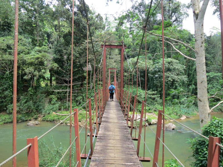 A wooden suspension bridge with red railings crossing a green river into thick forest, with a walker in the distance