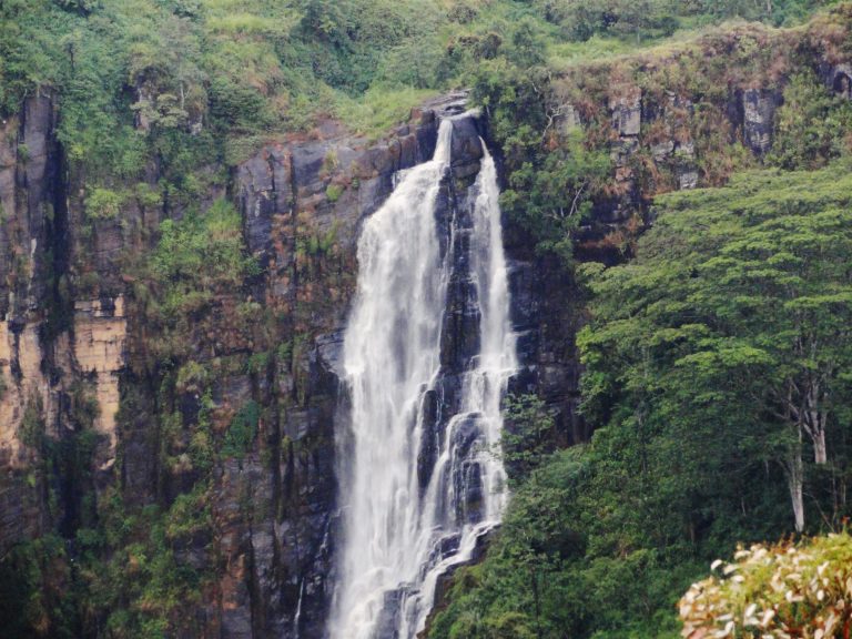 Close view of Devon Falls pouring down a dark rock face, with trees on both sides