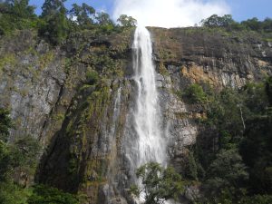 Diyaluma Falls dropping in a single white stream down a sheer rock cliff, with forest at the top and bottom