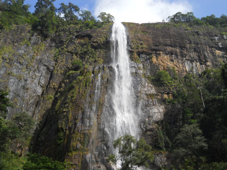 Diyaluma Falls dropping in a single white stream down a sheer rock cliff, with forest at the top and bottom
