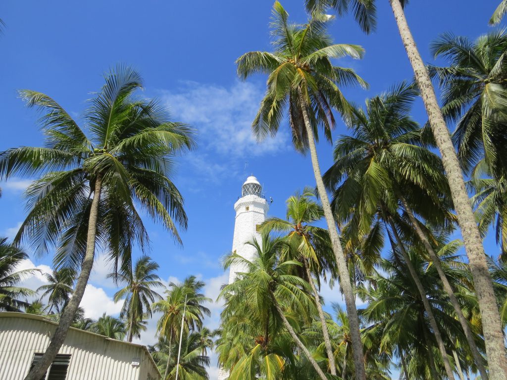 The white tower of Dondra Head Lighthouse rising between tall coconut palms under a blue sky