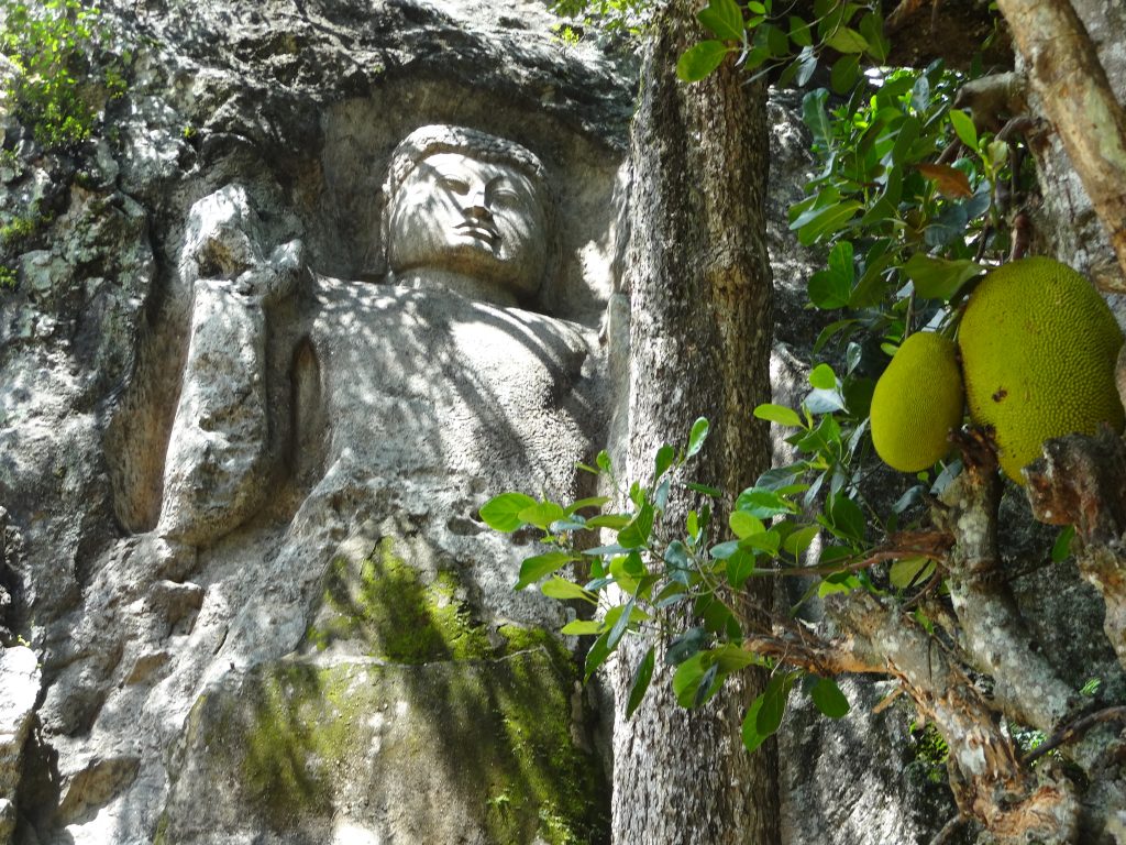 The head and shoulders of the rock-cut Buddha at Dowa in dappled light, with a tree trunk and jackfruit hanging in front of the carving