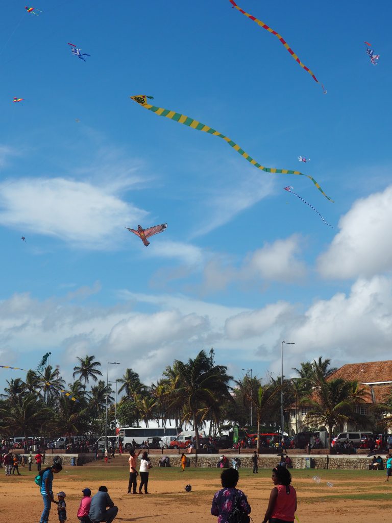 Long-tailed kites flying in a blue sky above the lawn of Galle Face Green, with palm trees and families flying kites below