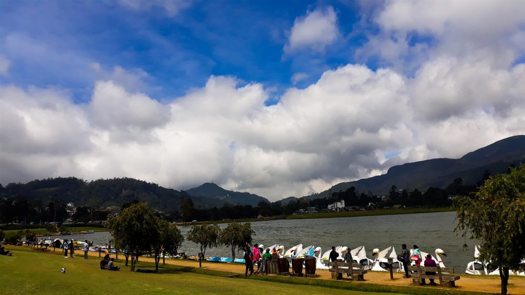 Rows of white swan-shaped pedal boats moored along the shore of Gregory Lake, with visitors on benches and hills behind
