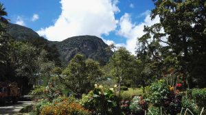 Flower beds, trees and a green garden building in Hakgala Botanic Gardens, with the rock face of Hakgala Rock rising behind