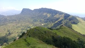 Grassy ridge of the Hanthana range in the foreground, looking across pine plantations and scattered trees to a long cliff-topped ridge under a hazy sky