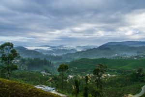 Morning mist in the valleys below Haputale, with tea estates and small villages on the green slopes