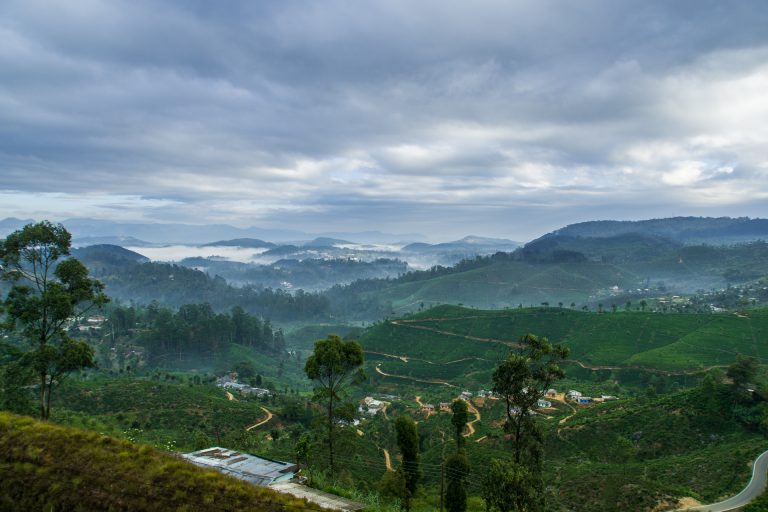 Morning mist in the valleys below Haputale, with tea estates and small villages on the green slopes