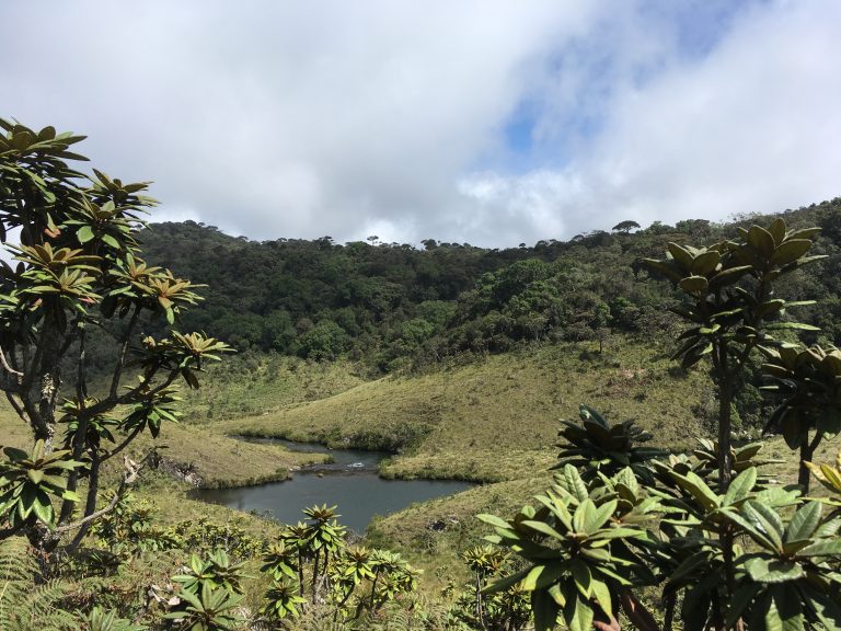 Open grassland and a small pool in a hollow at Horton Plains, ringed by cloud forest under a cloudy sky