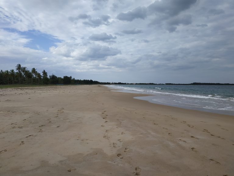 Wide, empty sandy beach at Kalkudah with palm trees along the shoreline, footprints in the sand and gentle waves breaking at the water's edge