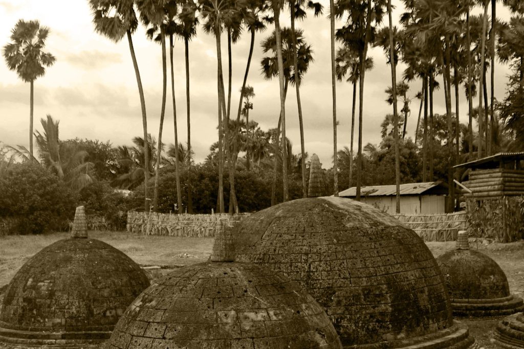 Domed coral-stone stupas with small pinnacles in an open field, tall palmyra palms and a fence behind, in sepia tones