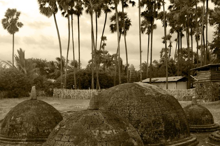 Domed coral-stone stupas with small pinnacles in an open field, tall palmyra palms and a fence behind, in sepia tones