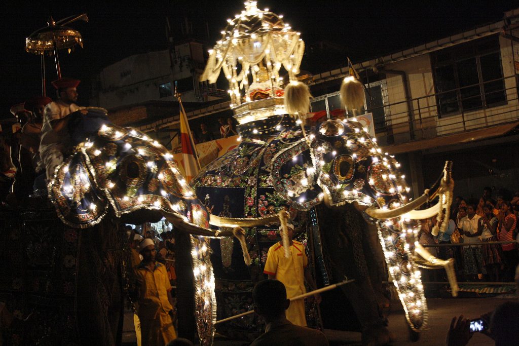 Elephants in embroidered cloths strung with lights walking at night in the Kandy Esala Perahera, one carrying a lit canopy, with a rider on top and spectators behind a rail