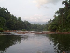 The wide, calm Kelani River with rock shelves in mid-stream, lined by dense rainforest and palms, with hills in the distance