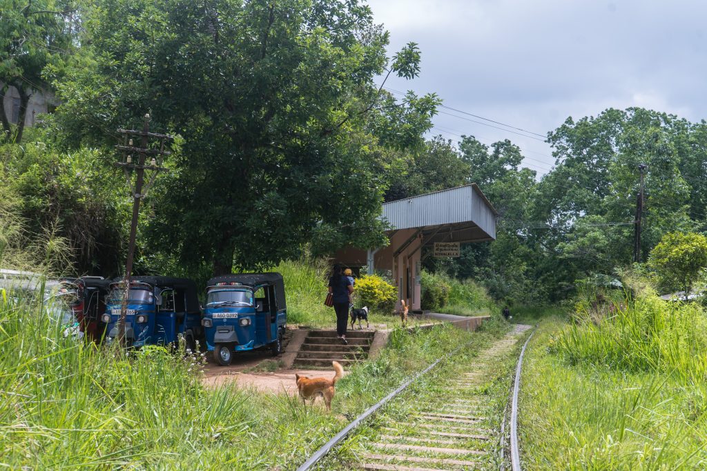 Small Kithal Ella railway station beside a single track, with blue tuk-tuks parked by the steps and trees all around