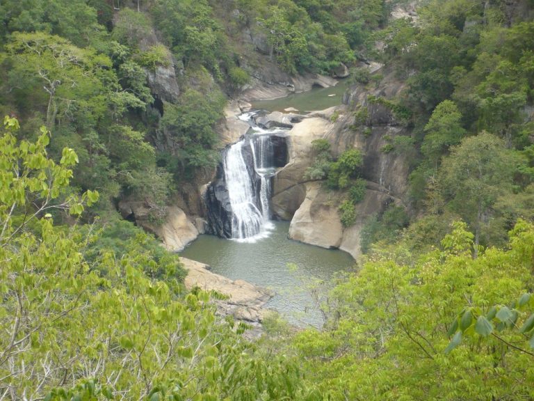 A small waterfall dropping between pale boulders into a green pool, seen from above through trees