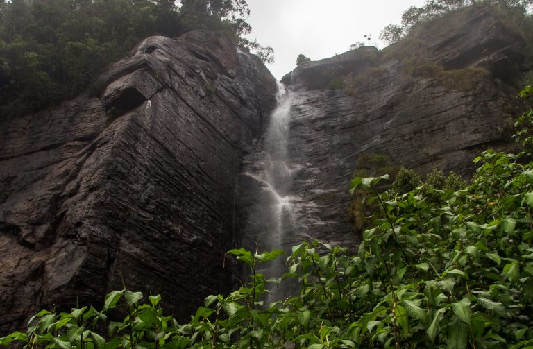 Lover's Leap waterfall pouring in a thin white stream down a cleft in a dark, layered rock face, with green shrubs in the foreground