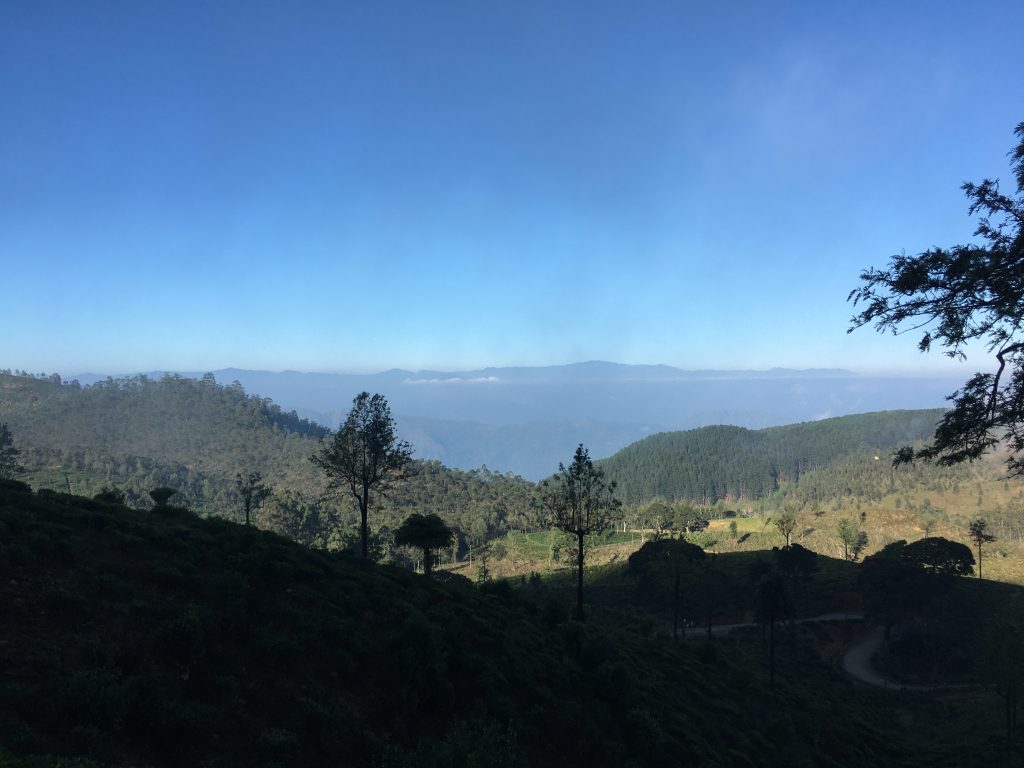 Forested ridges falling away to hazy lowlands seen from Madulsima, with a tree silhouetted on the right