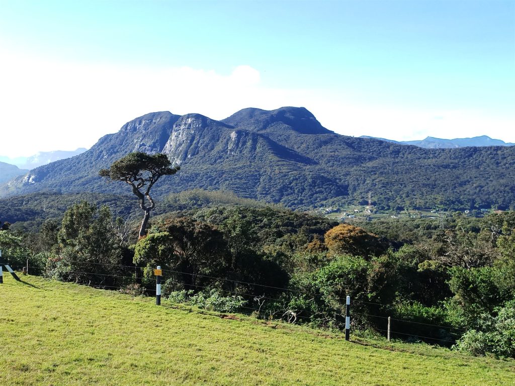 Forested mountain ridge with pale rock faces rising behind a fenced grass slope at Moon Plains, Nuwara Eliya