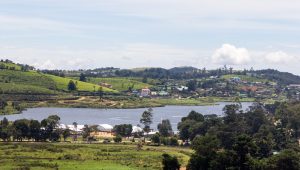 Gregory Lake in Nuwara Eliya, with houses and tea-covered hills on the far shore and trees in the foreground