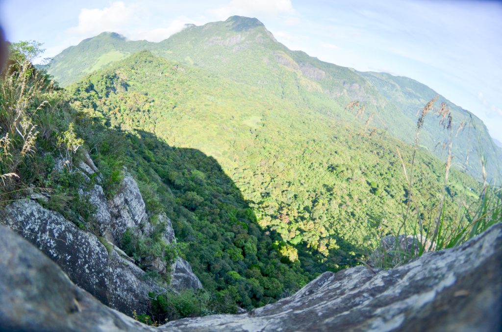 View down from a rocky cliff edge over a steep, forested slope towards green mountains