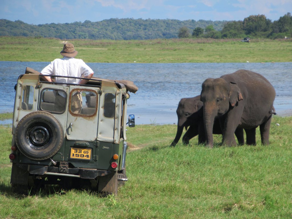 A safari jeep parked on grass a few metres from an adult elephant and a calf, with the Kaudulla reservoir and forested hills behind