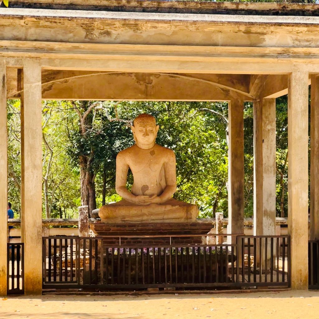 A seated stone Buddha with hands in the meditation posture, under an open pavilion with trees behind
