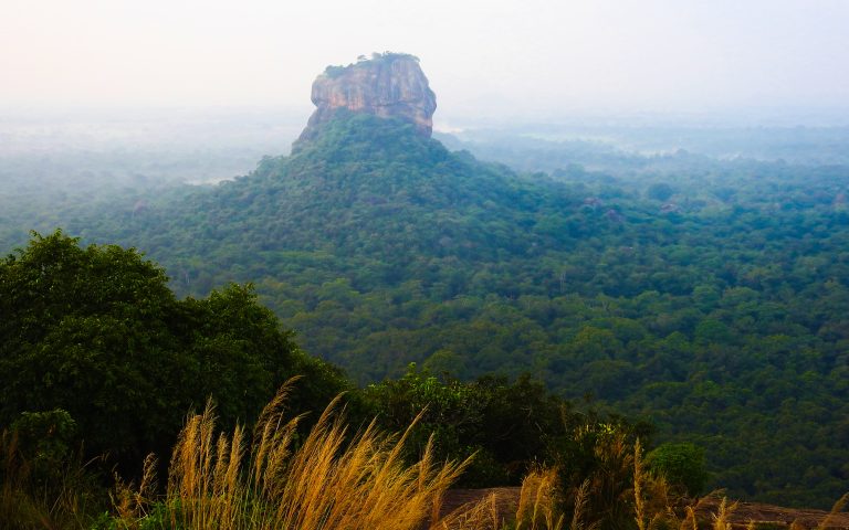 Sigiriya rock rising above a misty forest, seen from the top of Pidurangala with dry grass in the foreground