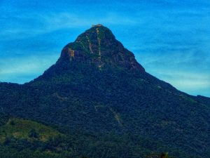 The forested cone of Adam's Peak against a blue sky, with the summit buildings on top and the path cut into the upper slopes