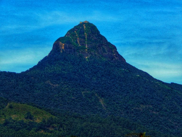 The forested cone of Adam's Peak against a blue sky, with the summit buildings on top and the path cut into the upper slopes