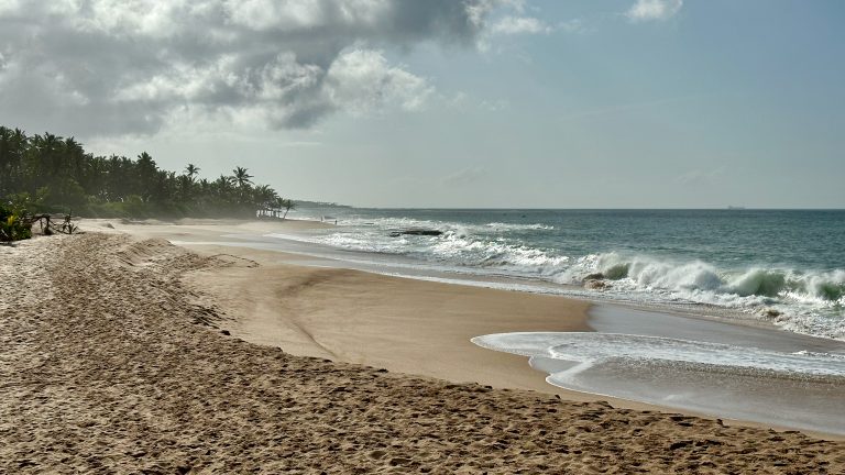 A long sandy beach on Tangalle bay, with waves breaking along the shore and palm trees on the left