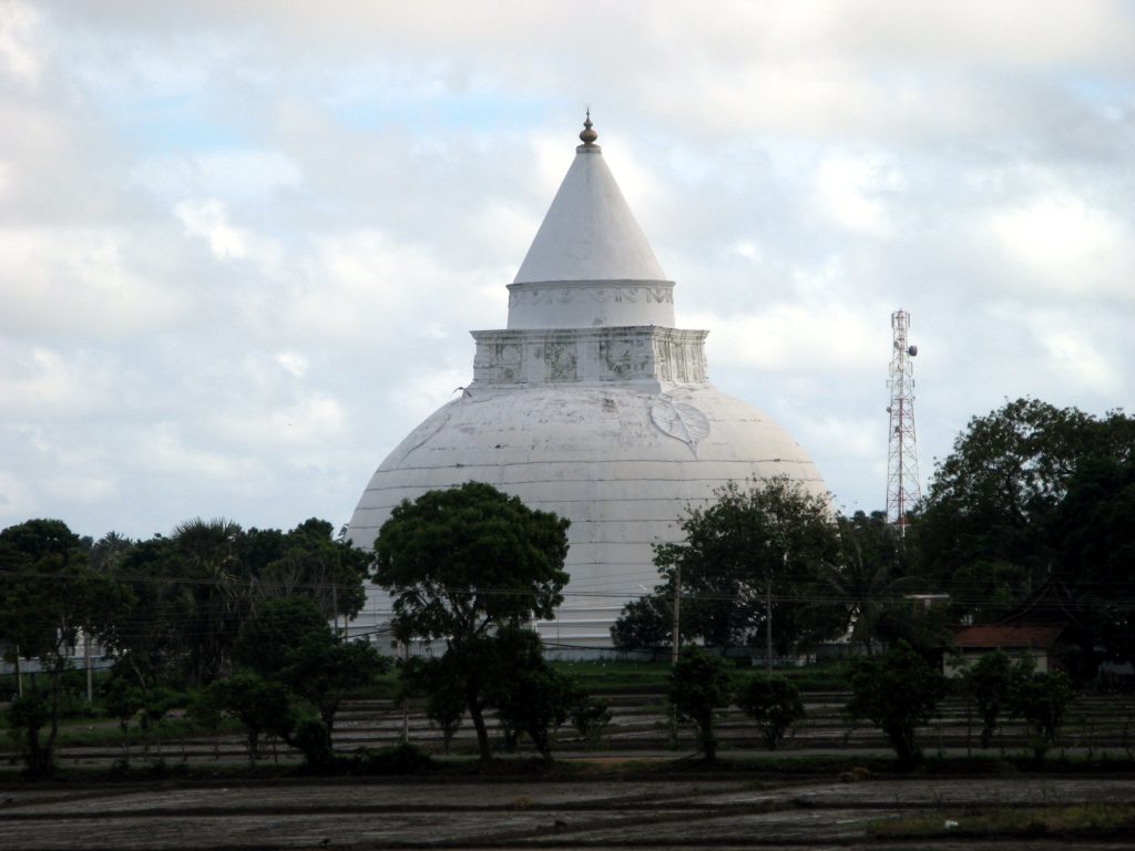 The white dome and tall cone-shaped spire of the Tissamaharama stupa rising above trees and ploughed paddy fields under a cloudy sky