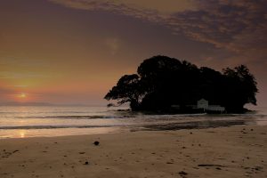 Taprobane Island, a small wooded islet with a white gateway and steps, silhouetted against an early-morning sky beyond Weligama beach